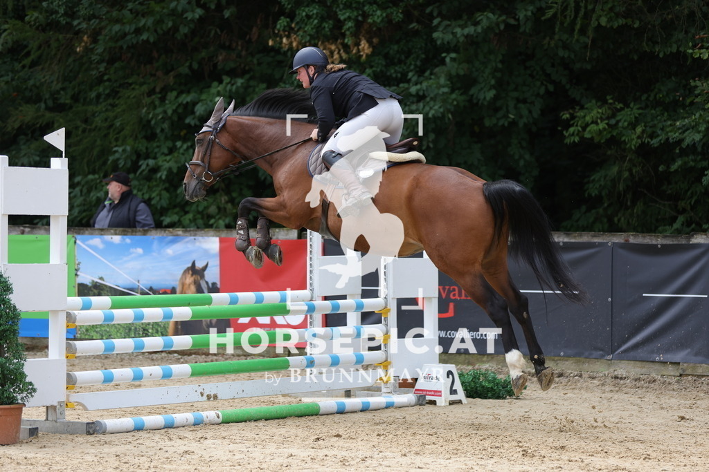 0P6A3372 | Willkommen bei Brunnmayr - Design & Fotografie – Ihrem Spezialisten für Reitturniere und Pferdeveranstaltungen in Oberösterreich, Salzburg und Bayern! Seit über 17 Jahren sind wir leidenschaftlich dabei.