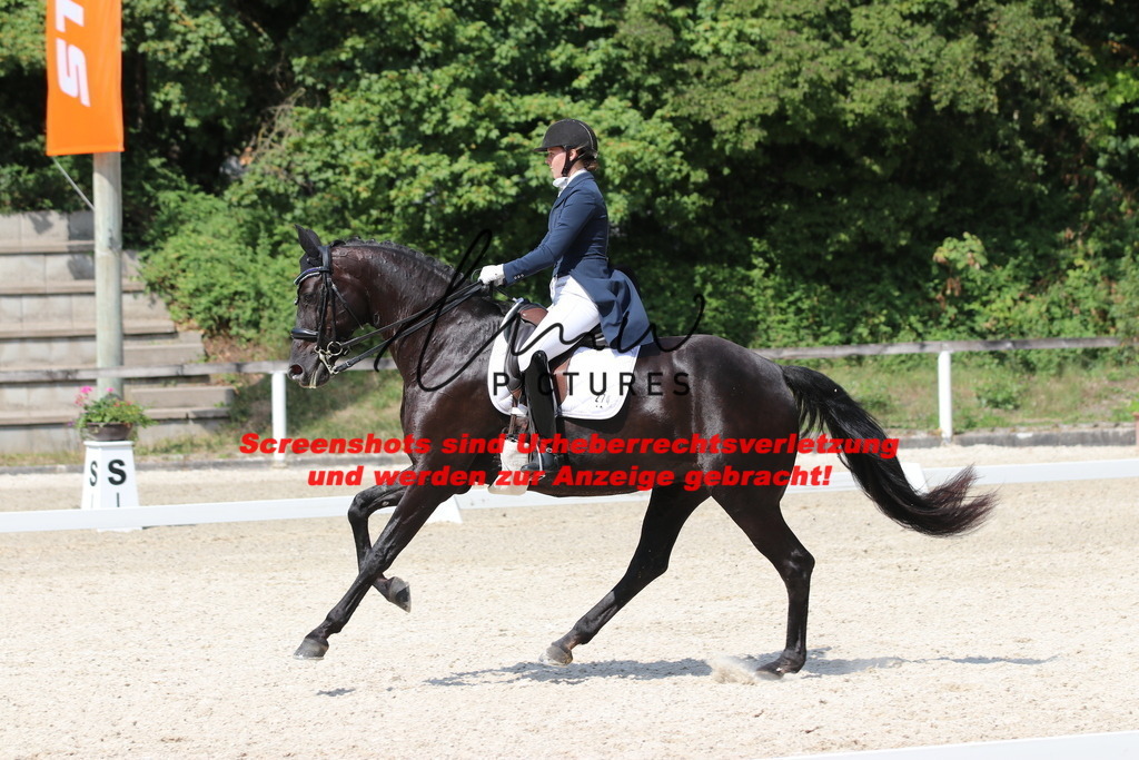 IMG_7047 | lmwpictures - Realisiert mit Pictrs.com