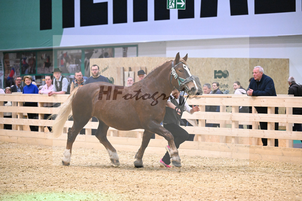Kat-Nr. 15 Edelfee v. Vestus_Strauss_1260246 | hf-fotografie - Realisiert mit Pictrs.com