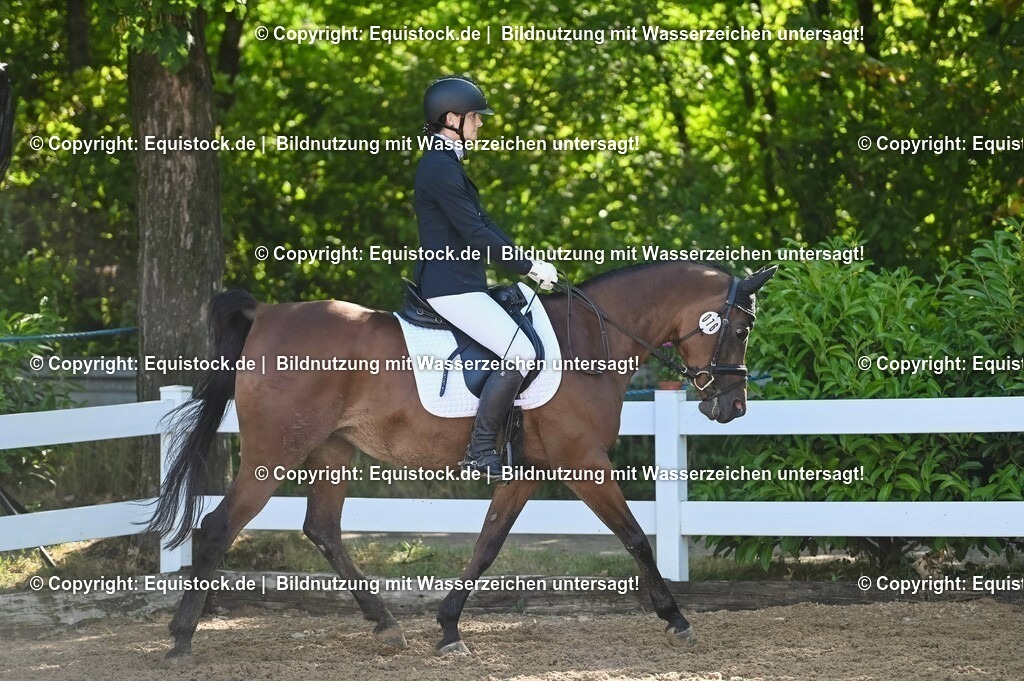 20230716_04_Dressurreiterprüfung Kl.A_0085 | equistock