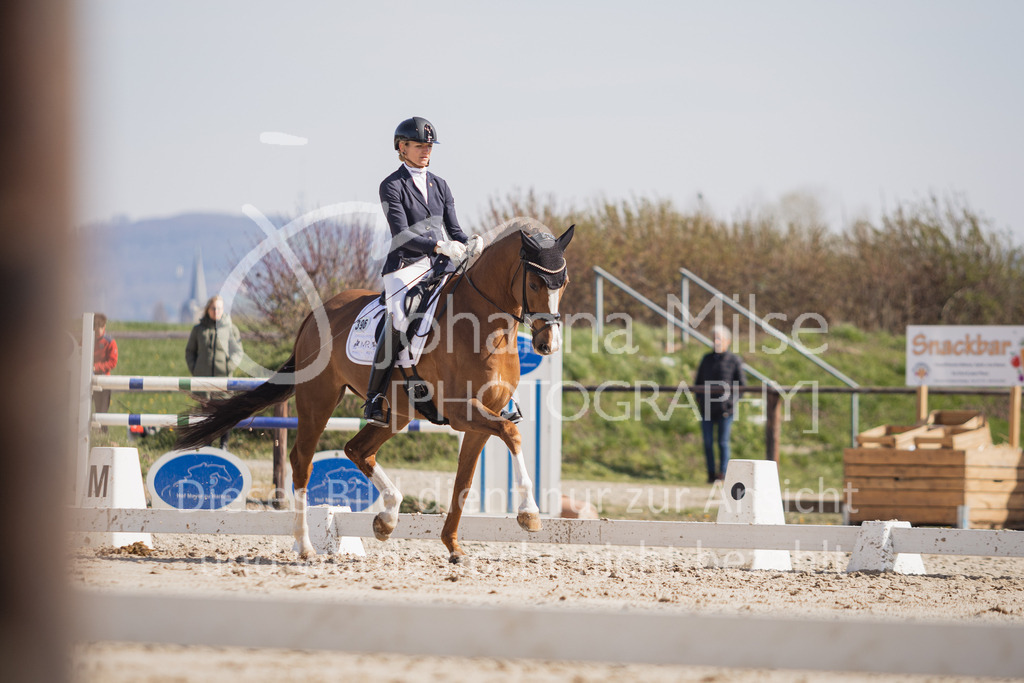 230410_Frühlingsfest_Dressurpf-M-114 | Deine schönsten Turniermomente als professionelle Fotos! Entdecke hochwertige Pferdesport-Fotografie im Online-Shop. Jetzt Fotos finden & bestellen!