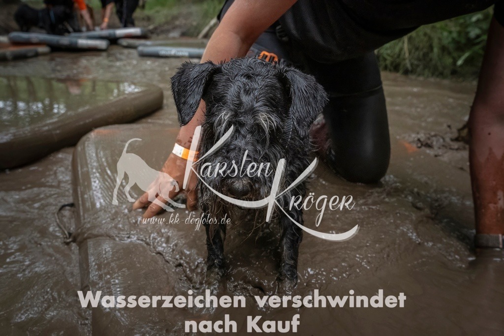 1202_ZZ96633T | kk-dogfotos