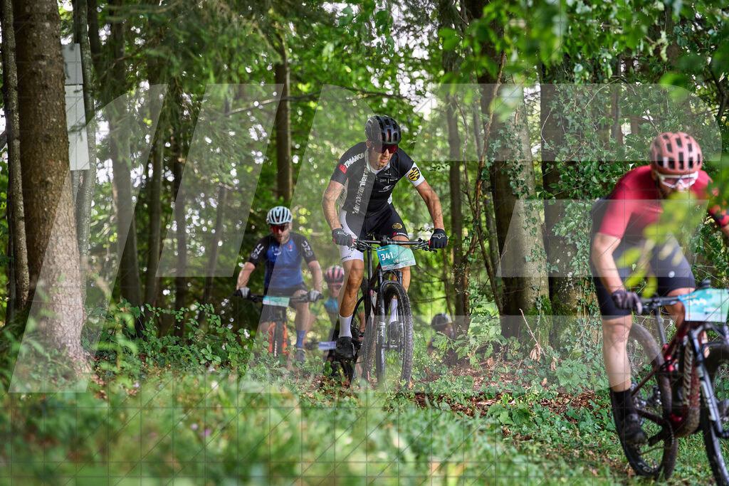 Betriebszentrum Laubenbachmühle, Frankenfels, Österreich - 13. September 2025: Dirndltal Race - Fun und Trophy RaceFotograf: Martin Bihounek / martinbihounek.com | 13. September 2025 Betriebszentrum Laubenbachmühle, Frankenfels, Österreich : Dirndltal Race - Fun und Trophy Race •••••Photo by: Martin Bihounek / martinbihounek.comInsta: @martinbihounekcom