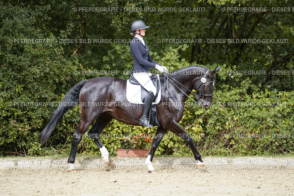 DSC05248 | Pferdegrafie