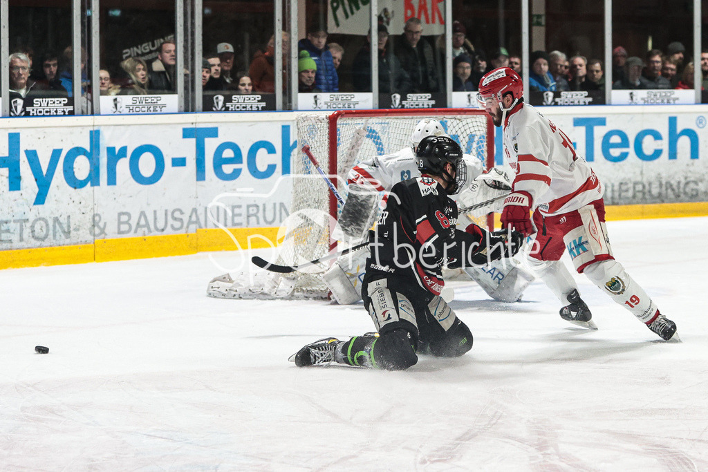EHC Königsbrunn - TEV Miesbach | Tim BULLNHEIMER (EHC #8) geht vor Stefan MECHEL (TEV #19) auf die Knie