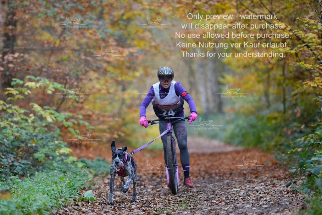 Scooter_So-9 | stephaniefillaphotographie - Realisiert mit Pictrs.com