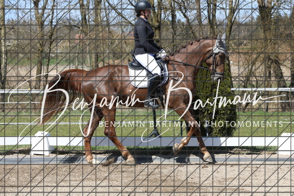 AZ2A4227 | Benjamin Bartmann Photomoments