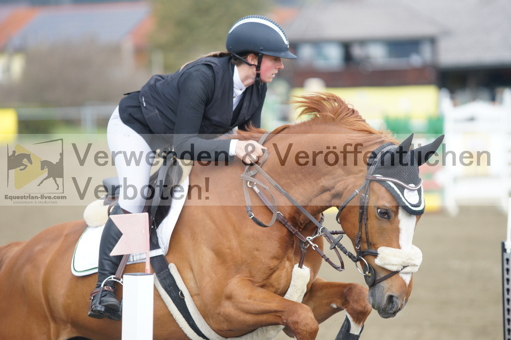 DSC01003 | equestrian-live-com
