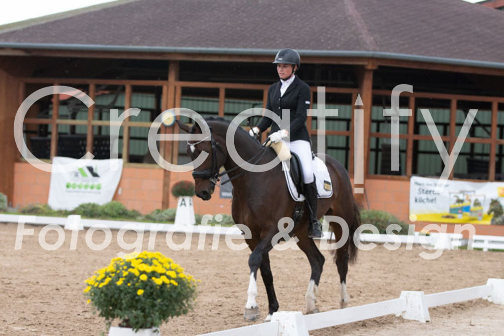 IMG_7086 | Creatify Fotografie