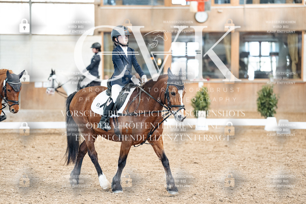 CK900612 | Turnierfotografie Pferdefotografie Trier Rheinland-Pfalz Pferdesport Reitsport Tierfotografie Sportfotografie Pferdevideo Pferdevideografie Equestrianvideography equestrianphotography  - Realized with Pictrs.com