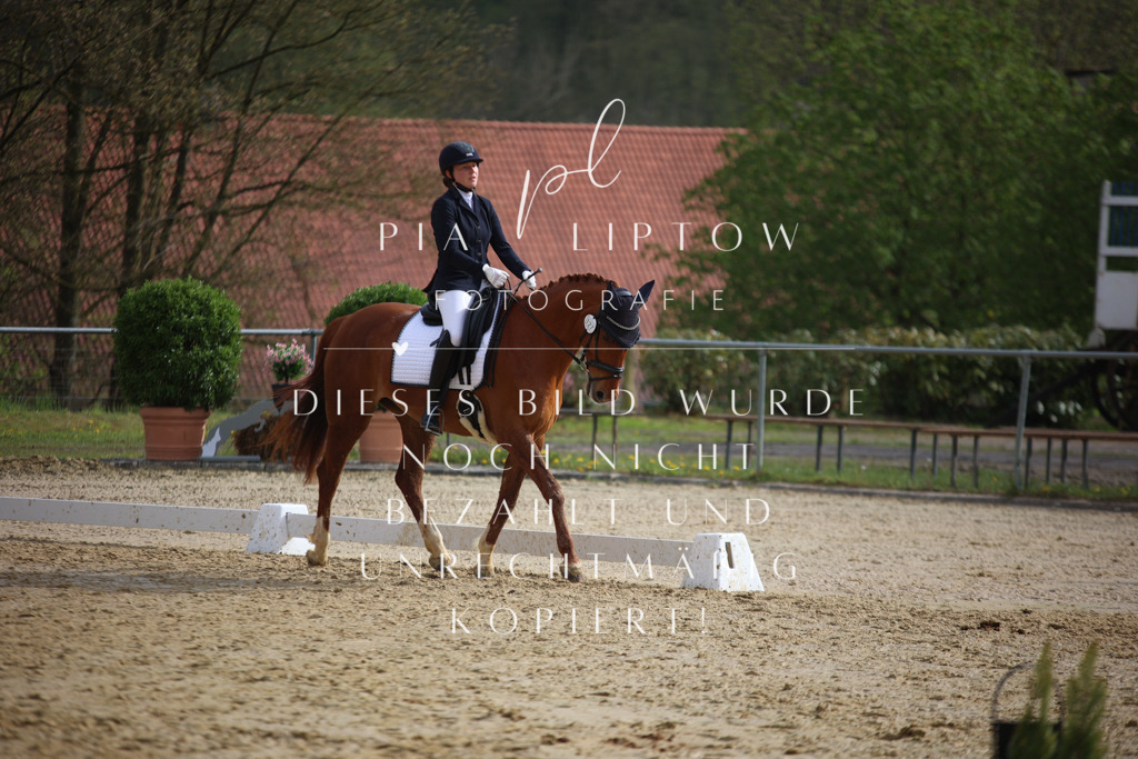 IMGT6754 | pl-fotografie