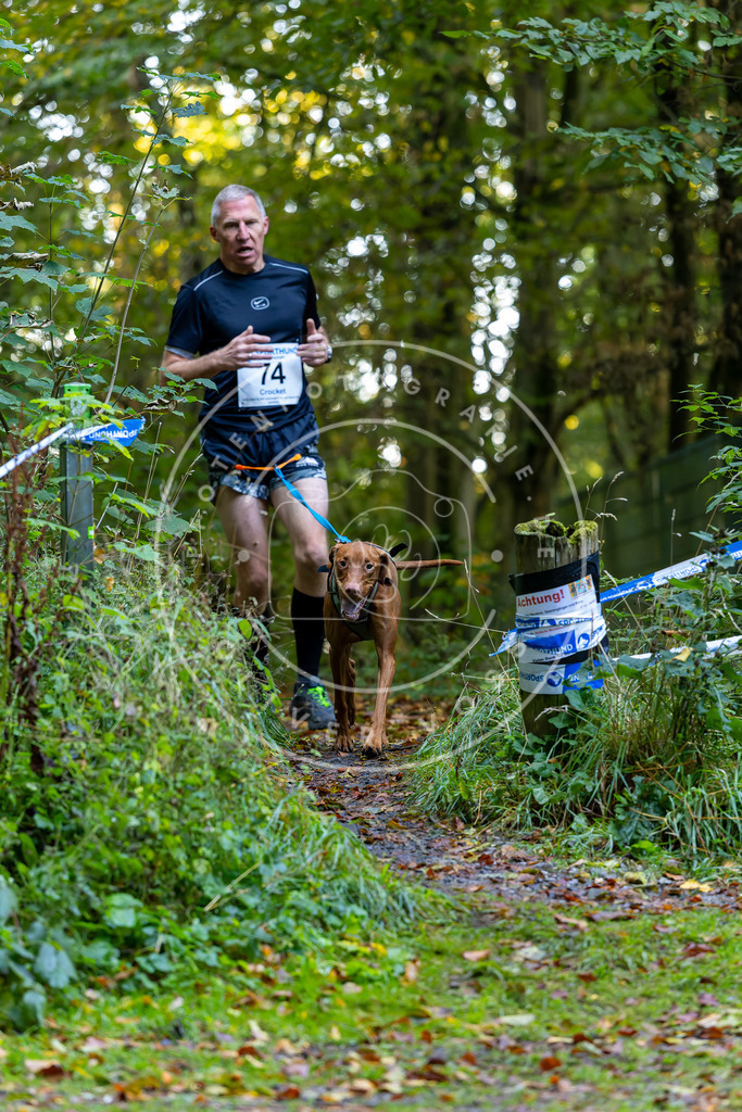 Pfotenfotografie_DV3A7420 | Hundefotografie, Tierfotograf, Pfotenfotografie, Fotoshooting Hund, Hunde Portrait, Hundesport, Hundeportraits, Heideshooting, Hunde, Sportfotograf, Hundefotograf, Turnierhundsport, THS,  - Realisiert mit Pictrs.com
