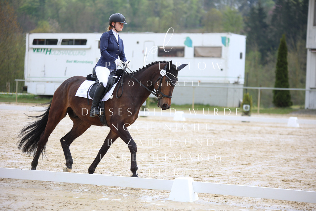 IMGT3024 | pl-fotografie