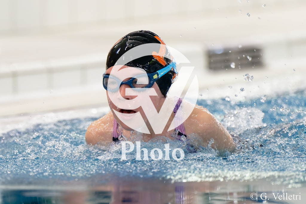 DSC_9011 | Velletri Photo