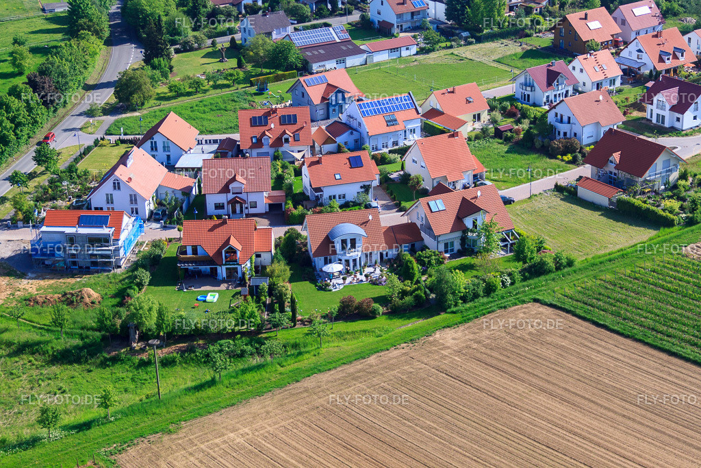 Im Erbsenfeld | Luftbild: Im Erbsenfeld im Ortsteil Mörzheim in Landau im Bundesland Rheinland-Pfalz in Deutschland. Foto: IMG_27192.jpg vom 23.05.2010 durch Werner Riehm/FLY-FOTO.de - Realisiert mit Pictrs.com