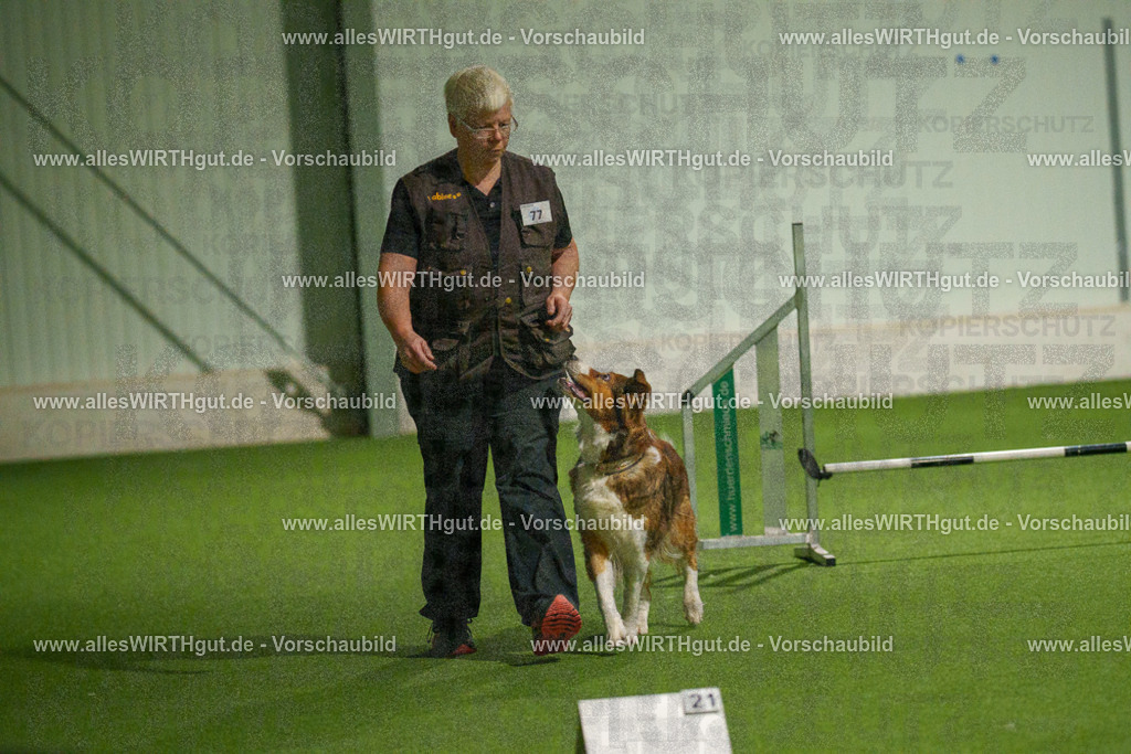 7R508825 | Professionelle Tierfotografie in Mönchengladbach von Daniel Wirth (allesWIRTHgut). Liebevolle & natürliche Bilder von Hunden & Katzen für unvergessliche Erinnerungen.