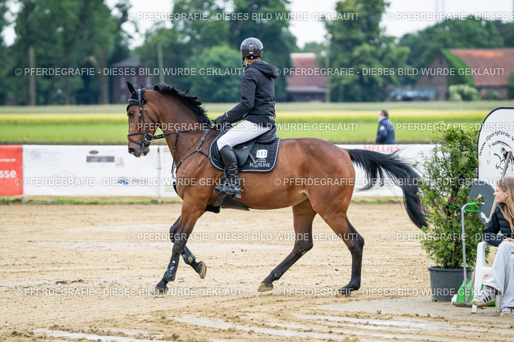 DSC04435 | Pferdegrafie