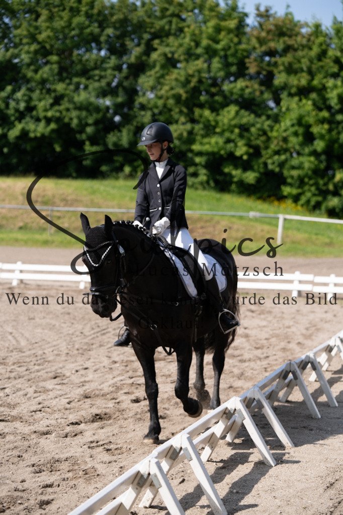 A7V02548 | Pferdefotograf