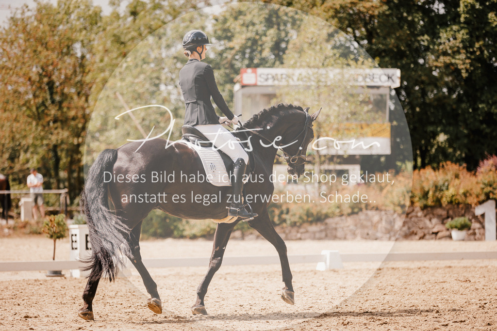 3I6A6098 | Stimmungsvolle Portraits und Reitsportfotografie im Ruhrgebiet und im Münsterland.

Pferdefotografie, Hundefotografie, Tierfotografie, Reportagen, Portraits von Tier und Mensch, Turnierfotografie in Bochum, Recklinghausen, Marl, Haltern am See, Dülmen.. - Realisiert mit Pictrs.com