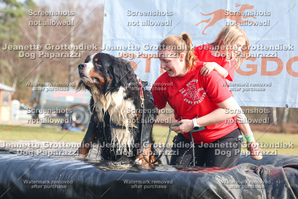 Dog Paparazzi - Strongdog North Mrz26-2247 | Dog Paparazzi Jeanette Grottendiek Fotografie & Videografie - Realisiert mit Pictrs.com