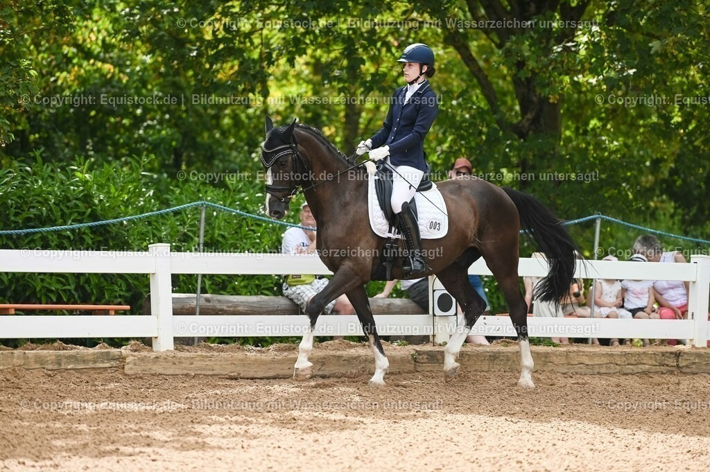 20230715_07_Dressurpferdeprfg. Kl.L_0002 | equistock