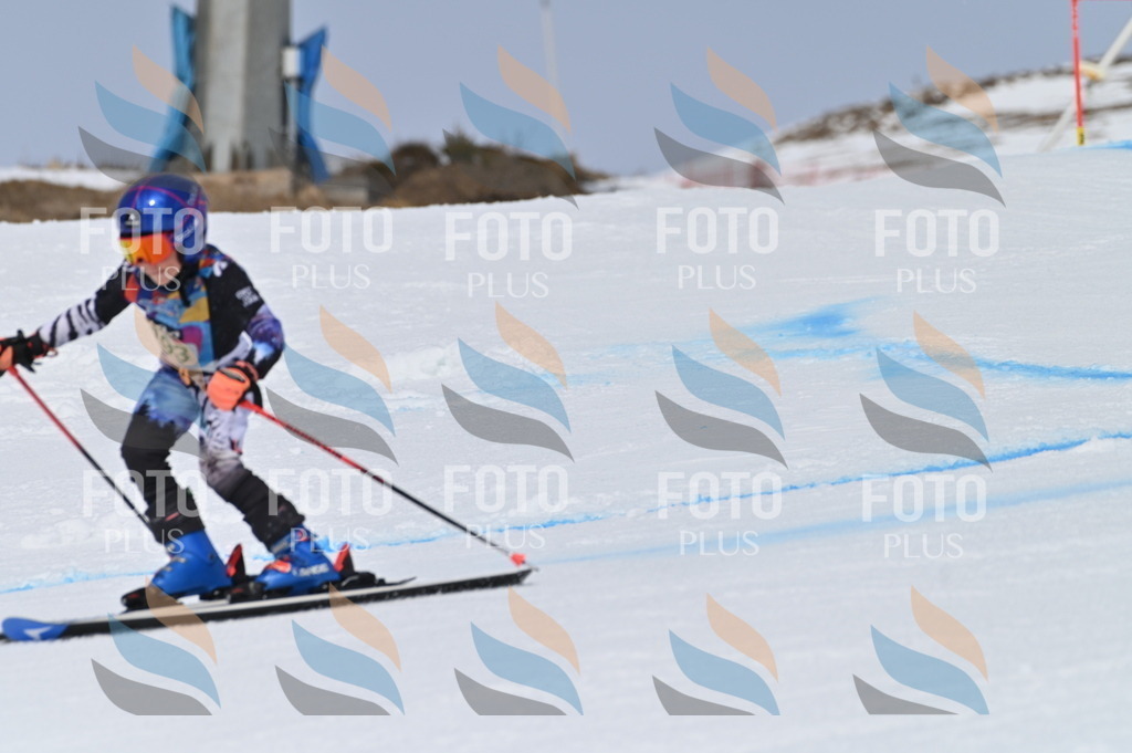 BGV_3721 | holidayphoto