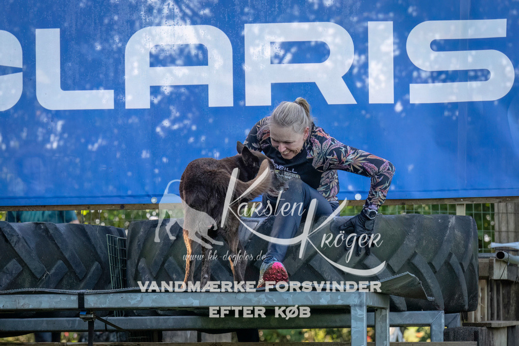 1048--7 | kk-dogfotos