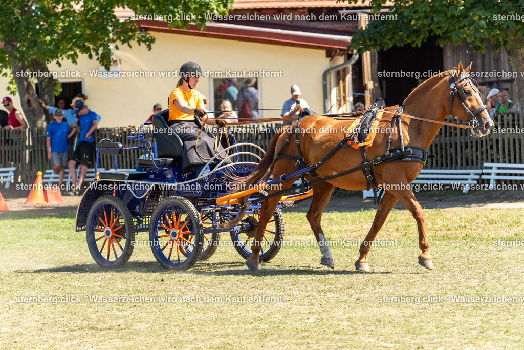 2026-08-09_12-31-16_WBO_Pulsnitz | sternberg.click - Realisiert mit Pictrs.com