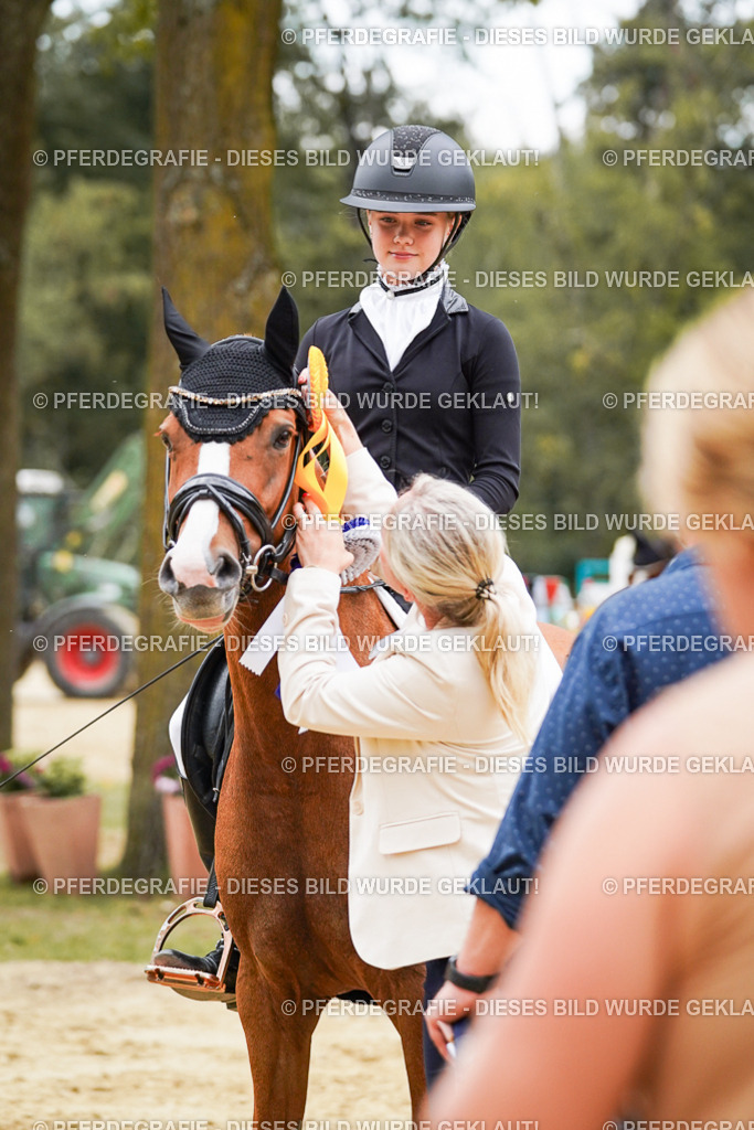 DSC06201 | Pferdegrafie