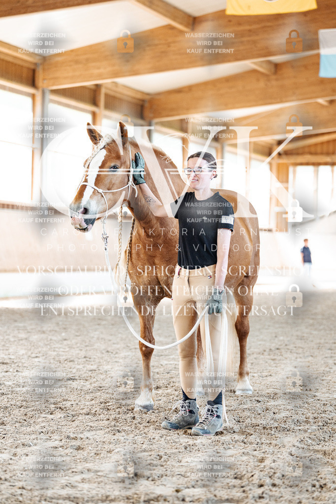 CK906767 | Turnierfotografie Pferdefotografie Trier Rheinland-Pfalz Pferdesport Reitsport Tierfotografie Sportfotografie Pferdevideo Pferdevideografie Equestrianvideography equestrianphotography  - Realisiert mit Pictrs.com