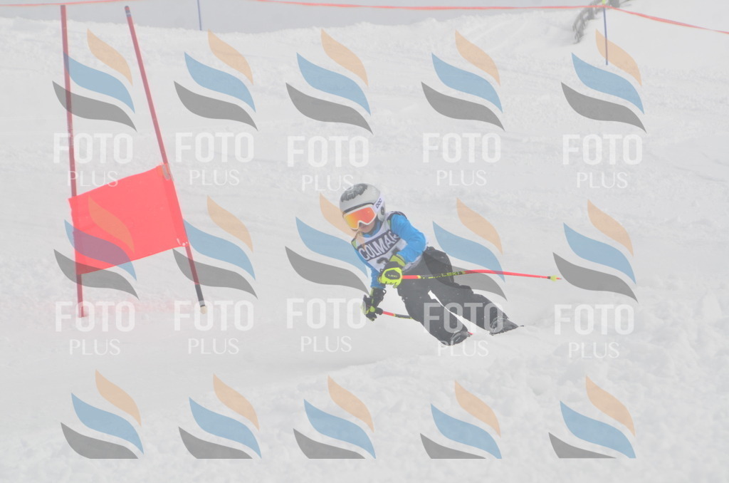 A5271 | holidayphoto