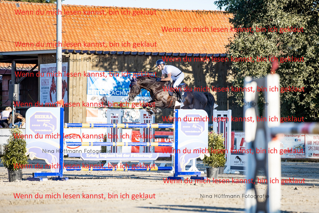 BK1A8468 | Turnierbilder Turnierfotos Nina Hüffmann Turnierfotografie Pferdefotografie Tierzeichnung Haustierzeichnung Pferdezeichnung Hundezeichnung Videograf  - Realisiert mit Pictrs.com