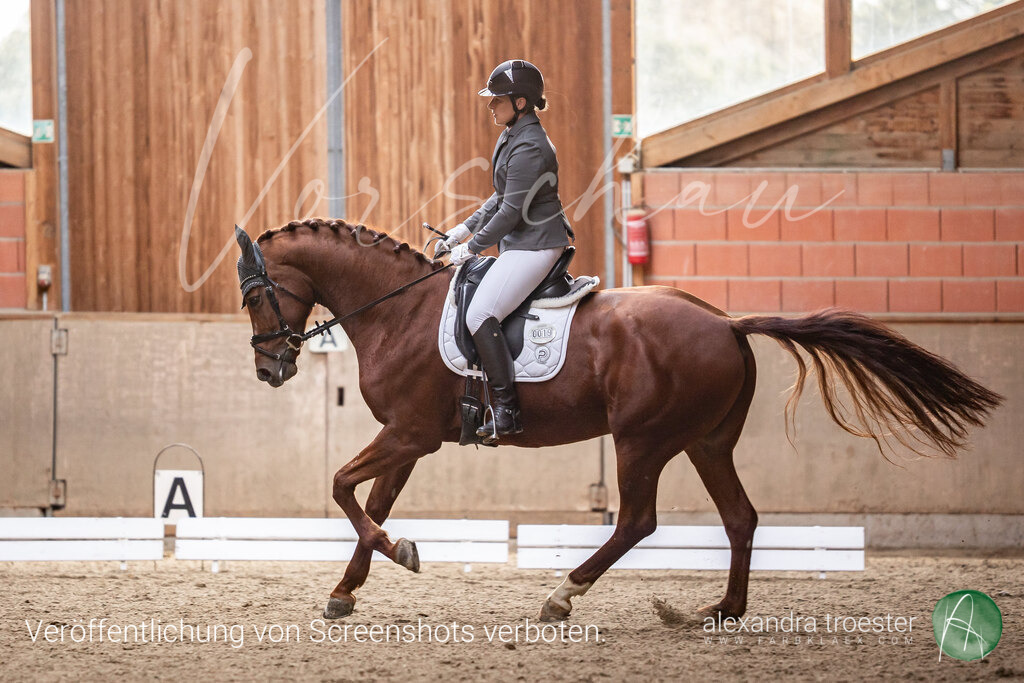 250913_Barop_09_091 | Farbklaex - Turnierfotografie - Realisiert mit Pictrs.com