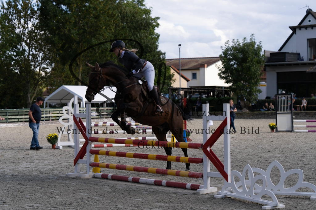 A7V07631 | Pferdefotograf