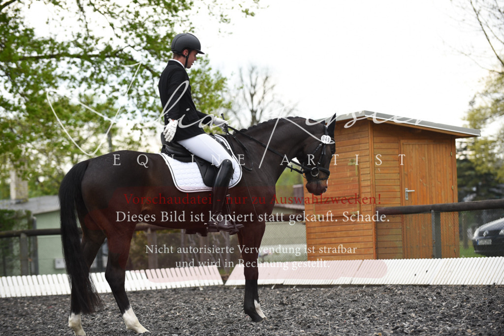 20230513_JK-Röhrsdorf-15-391 | Pferde- und Turnierfotografie in Westsachsen. Pferdeportraits, Auftragszeichnungen und intuitive Kunst.