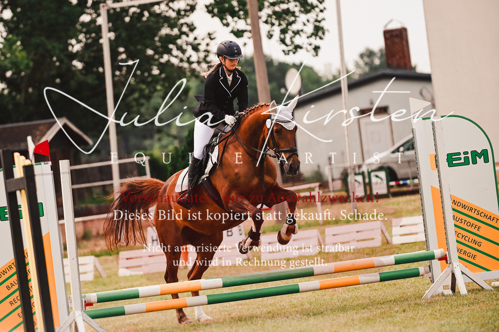 DSC_6857 | Pferde- und Turnierfotografie in Westsachsen. Pferdeportraits, Auftragszeichnungen und intuitive Kunst.