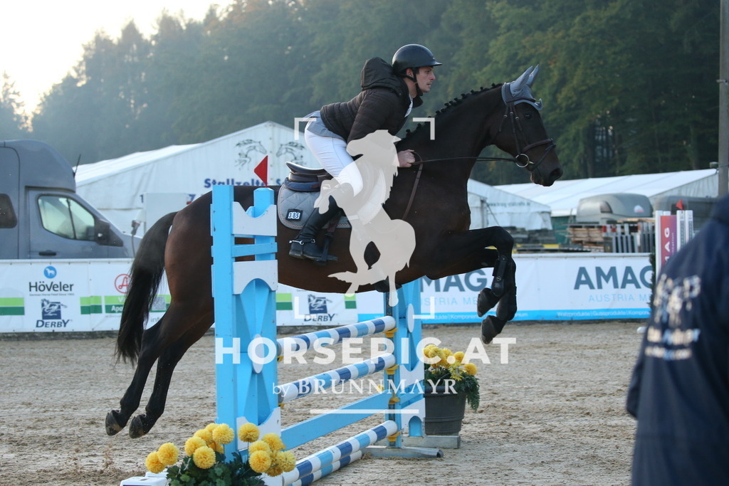 DL2Q0098 | Willkommen bei Brunnmayr - Design & Fotografie – Ihrem Spezialisten für Reitturniere und Pferdeveranstaltungen in Oberösterreich, Salzburg und Bayern! Seit über 17 Jahren sind wir leidenschaftlich dabei.