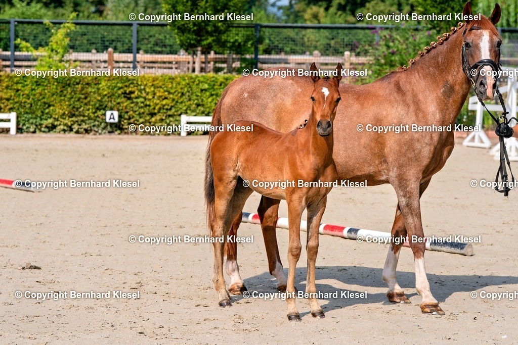 2A908651 | foto-team-bernhard - Realisiert mit Pictrs.com