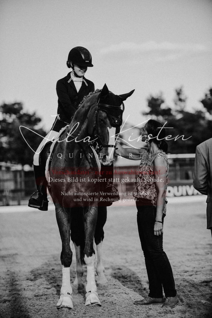 DSC_0729 | Pferde- und Turnierfotografie in Westsachsen. Pferdeportraits, Auftragszeichnungen und intuitive Kunst.