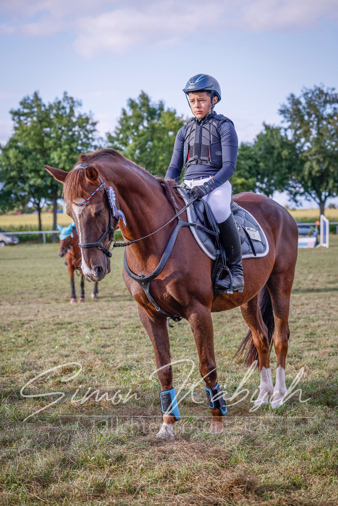 20250905-_3LI2418 | Tierfotografie Pferde, Hunde, Katzen, Haustiere.
Turnierfotografie Reitturniere, Reiten, Springreiten, Dressur in Hanau, dem Main-Kinzig-Kreis und dem Rhein-Main- Gebiet um Frankfurt