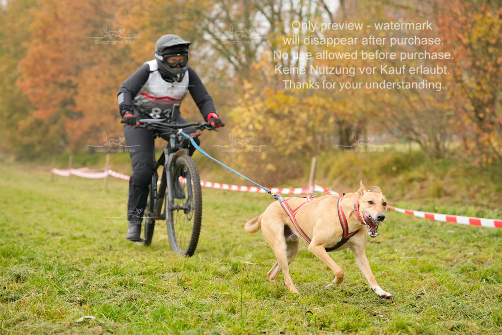 Visbeck_Sa_Bike-283 | stephaniefillaphotographie - Realisiert mit Pictrs.com