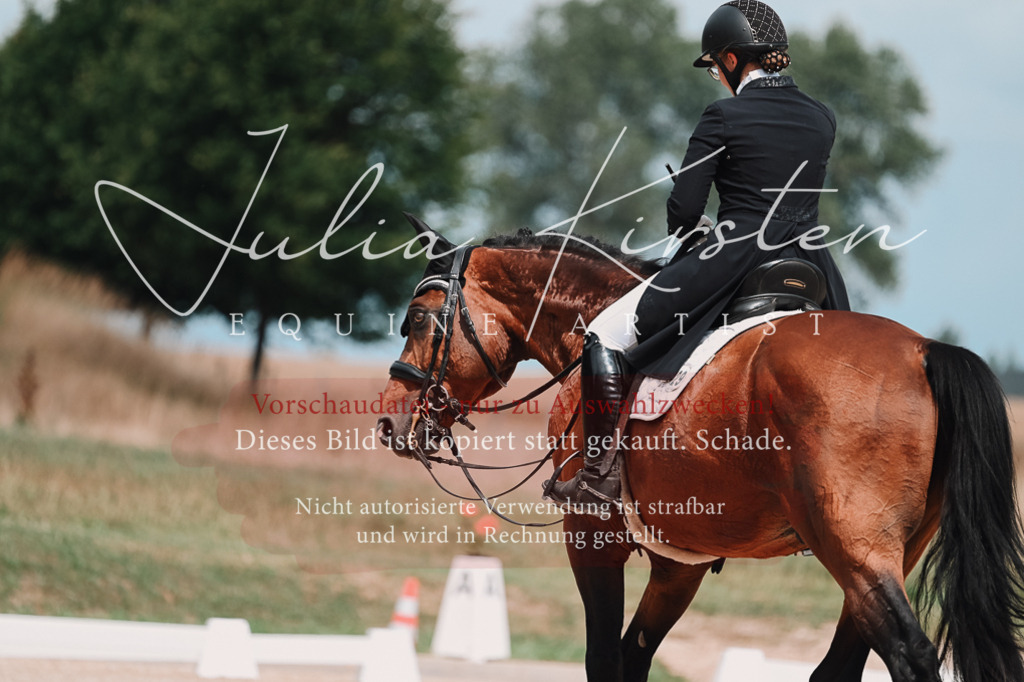 DSC_4397 | Pferde- und Turnierfotografie in Westsachsen. Pferdeportraits, Auftragszeichnungen und intuitive Kunst.