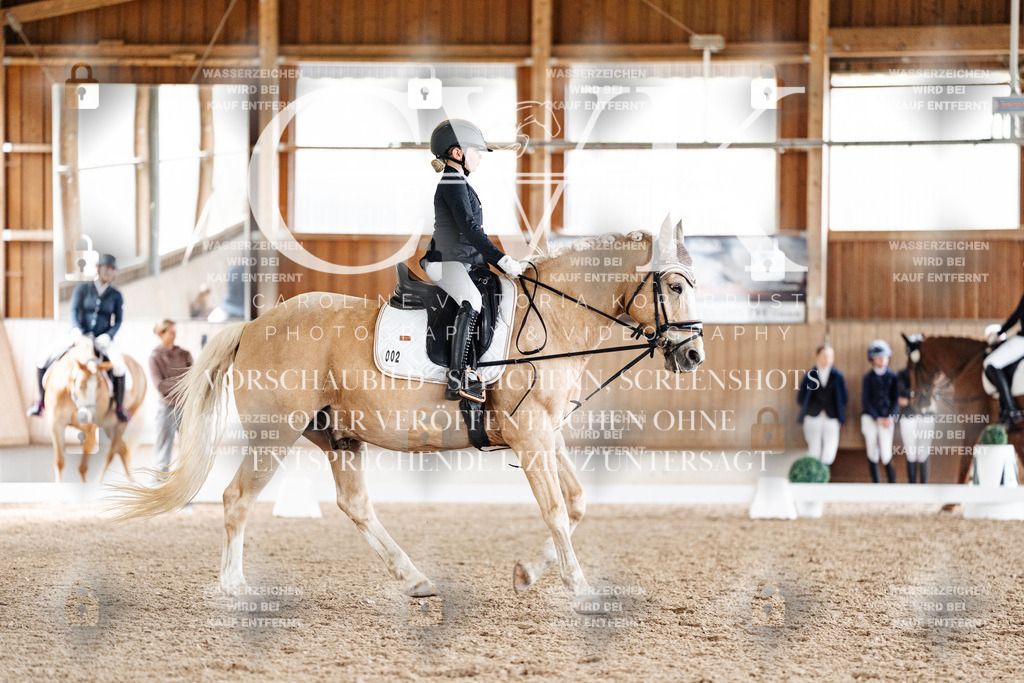 CK900541 | Turnierfotografie Pferdefotografie Trier Rheinland-Pfalz Pferdesport Reitsport Tierfotografie Sportfotografie Pferdevideo Pferdevideografie Equestrianvideography equestrianphotography  - Realisiert mit Pictrs.com