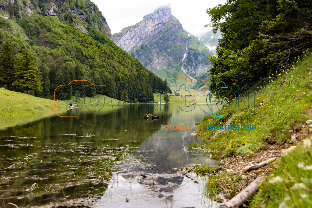 Seealpsee – Frühlingserwachen am Bergsee ️ | Dieses Bild zeigt den Seealpsee in voller Frühlingspracht: Sanftes Licht spiegelt sich im glitzernden Wasser, während frisches Grün die Ufer säumt und die umliegenden Berge die Szene majestätisch rahmen. Ein Moment voller Ruhe, Frische und alpiner Schönheit.