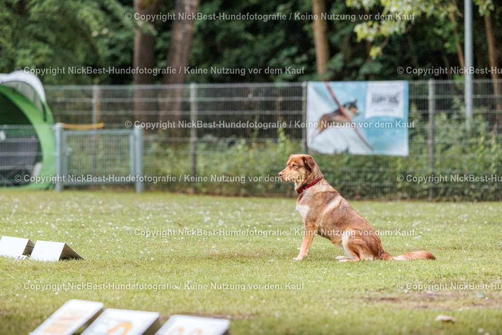 RO-Blumenthal-2026-Nickbest-Hundefotografie-2794 | Dein Hund! Dein Moment! Deine Erinnerungen! Hundefotografie in Bremen Blumenthal. Ich fange die besonderen Momente deines Vierbeiners ein – ob Indoor mit Blitzanlage oder in der freien Natur. Sicher dir dein Moment und dein Termin für eure Erinnerungen.