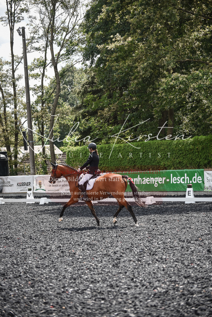 DSC_4360 | Pferde- und Turnierfotografie in Westsachsen. Pferdeportraits, Auftragszeichnungen und intuitive Kunst.
