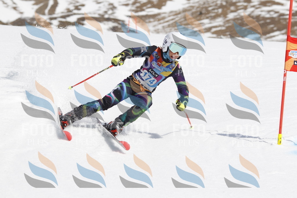 _U3G1621 | holidayphoto