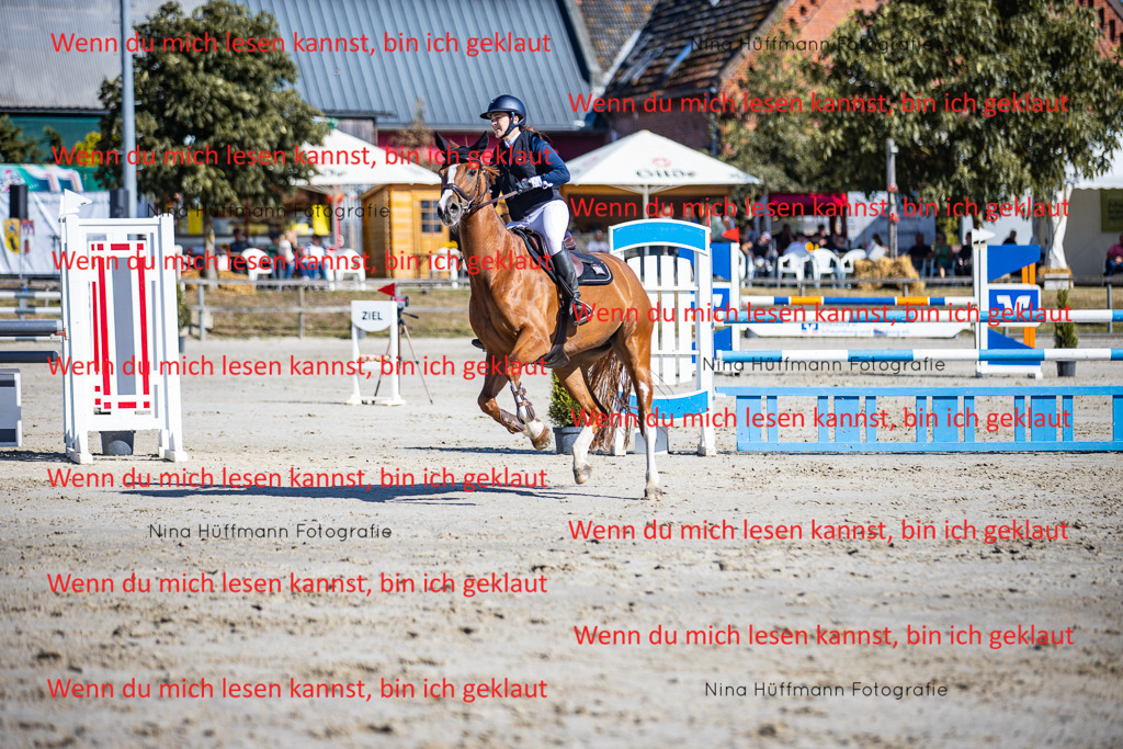 BK1A5687 | Turnierbilder Turnierfotos Nina Hüffmann Turnierfotografie Pferdefotografie Tierzeichnung Haustierzeichnung Pferdezeichnung Hundezeichnung Videograf  - Realisiert mit Pictrs.com