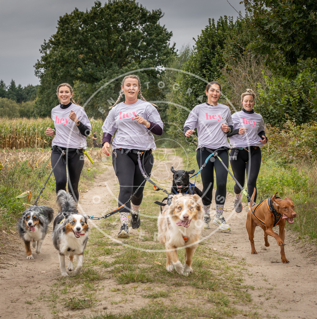 Pfotenfotografie_DV3A7145 | Hundefotografie, Tierfotograf, Pfotenfotografie, Fotoshooting Hund, Hunde Portrait, Hundesport, Hundeportraits, Heideshooting, Hunde, Sportfotograf, Hundefotograf, Turnierhundsport, THS,  - Realisiert mit Pictrs.com
