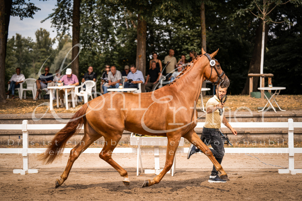 5.Fr00038 | Leoni Ertmer Photography - Realisiert mit Pictrs.com